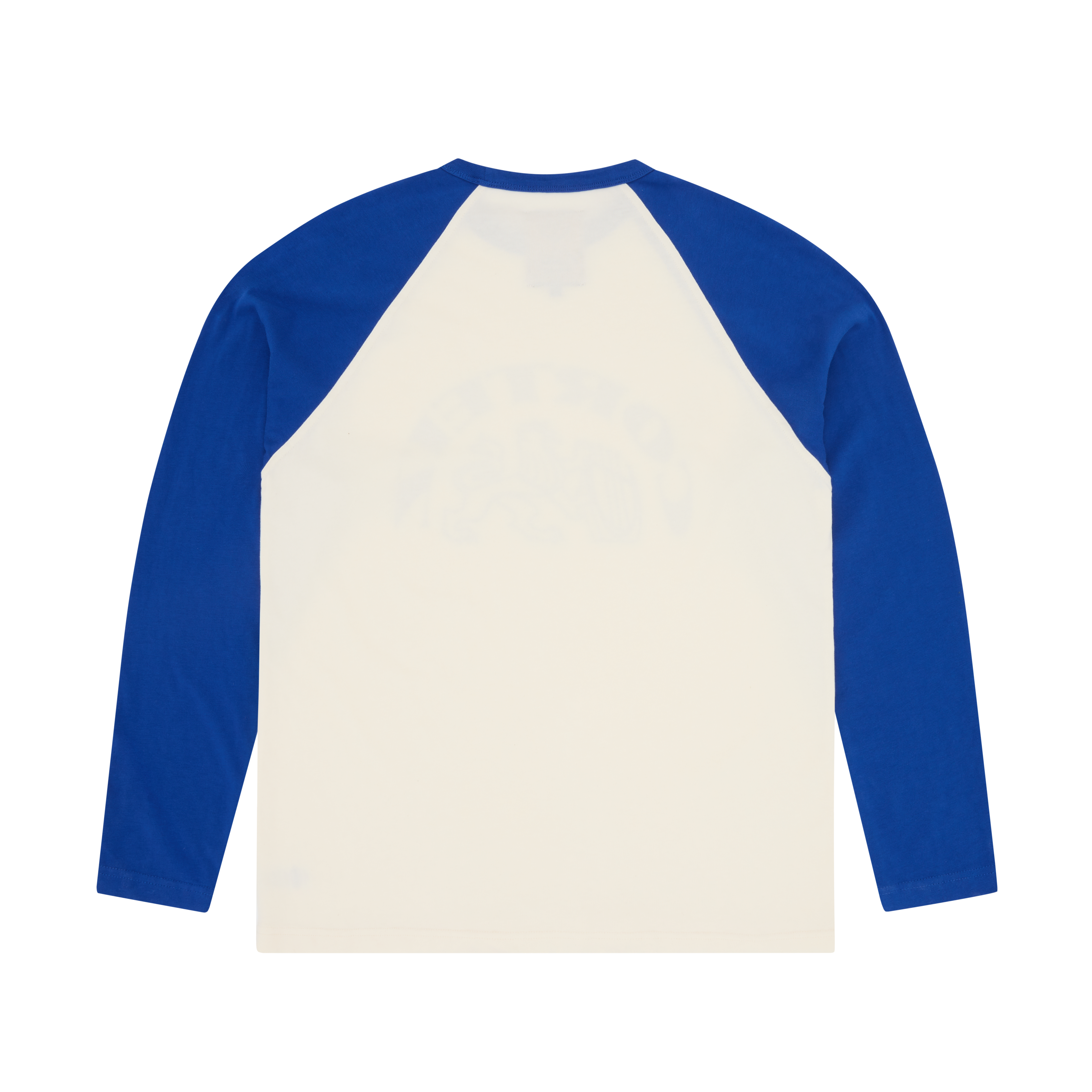 LION RAGLAN LS [ROYAL BLUE] Hoodie alternate view