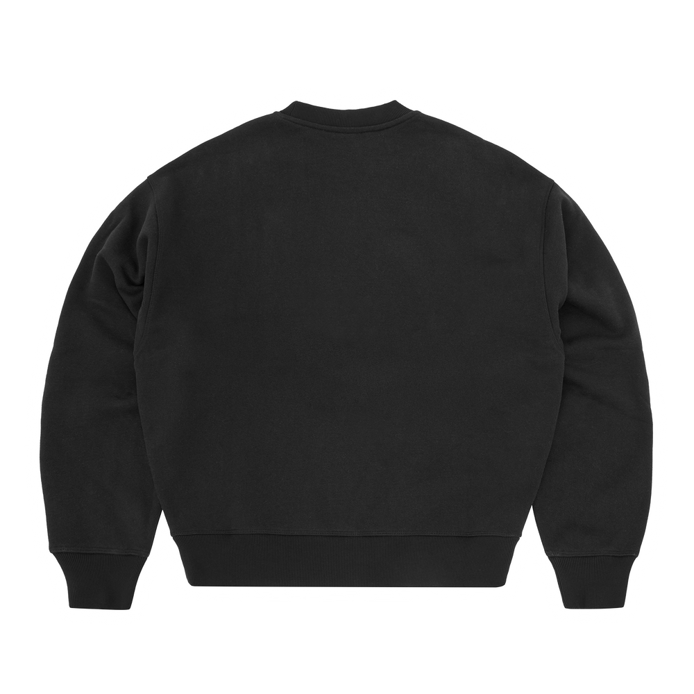 MINI ISLAND CREWNECK [BLACK] Hoodie alternate view
