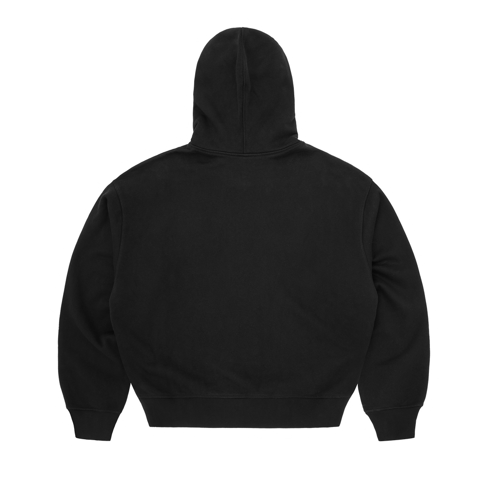 MINI ISLAND ZIP HOODIE [BLACK] alternate view