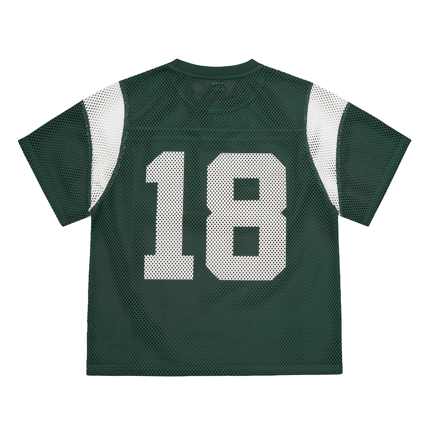 OPEN MESH PANEL JERSEY [FOREST GREEN] Hoodie alternate view